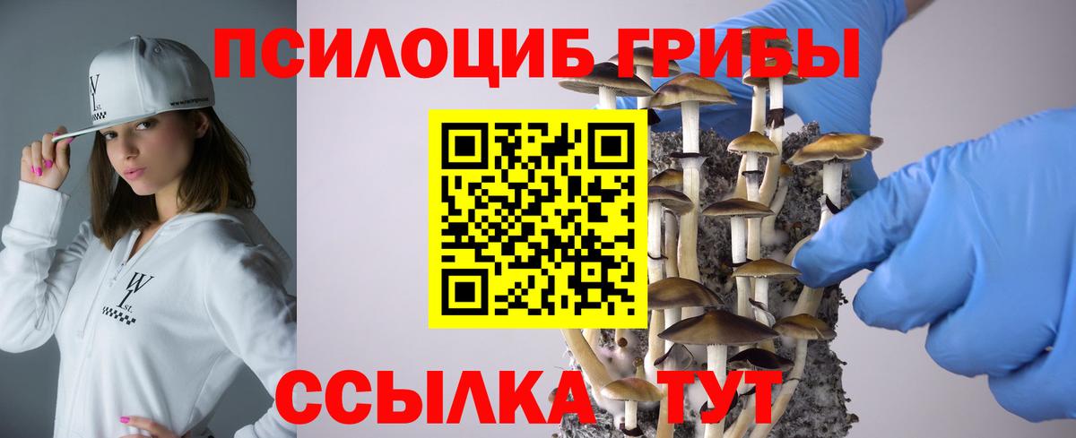 Псилоцибиновые грибы прущие грибы Чита
